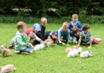 ALSH BIET Accueil de Loisirs Belle-Isle médiation animale enfants découverte activités animations ateliers