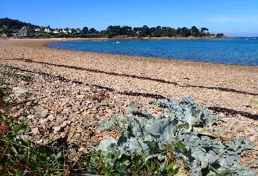 Texte de remplacement non renseigné