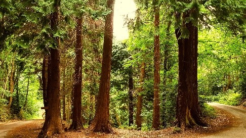 Texte de remplacement non renseigné