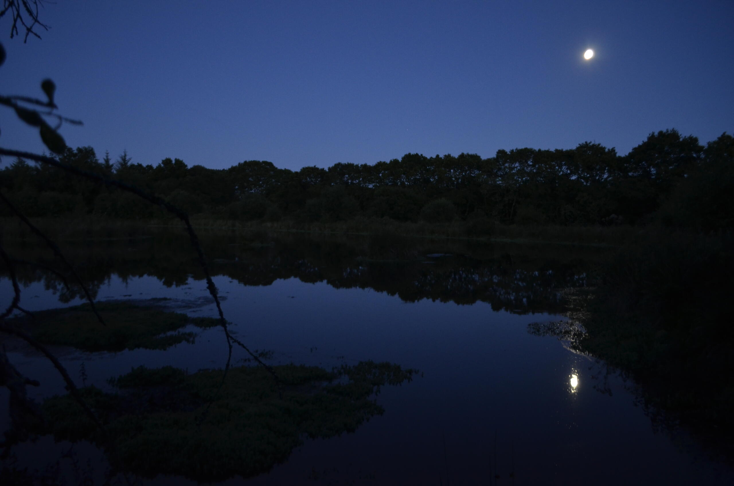 Texte de remplacement non renseigné
