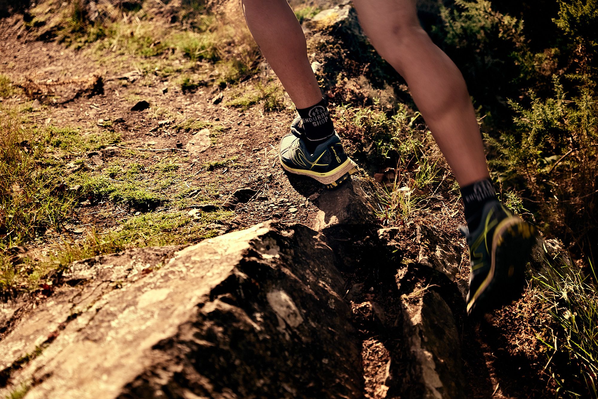 Texte de remplacement non renseigné