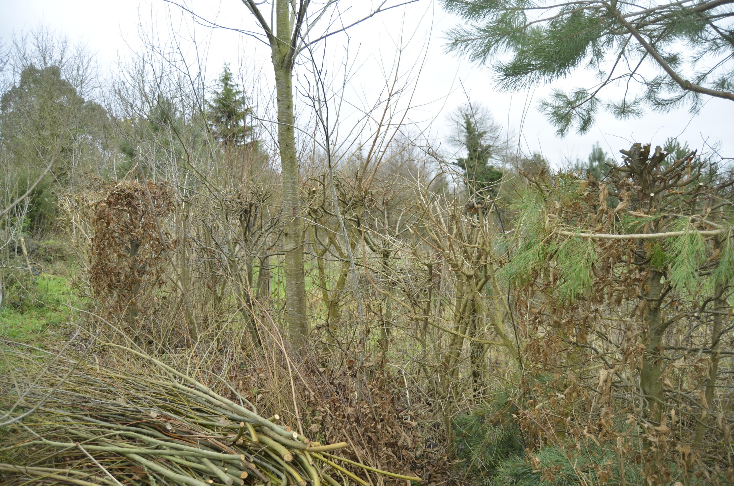 Texte de remplacement non renseigné