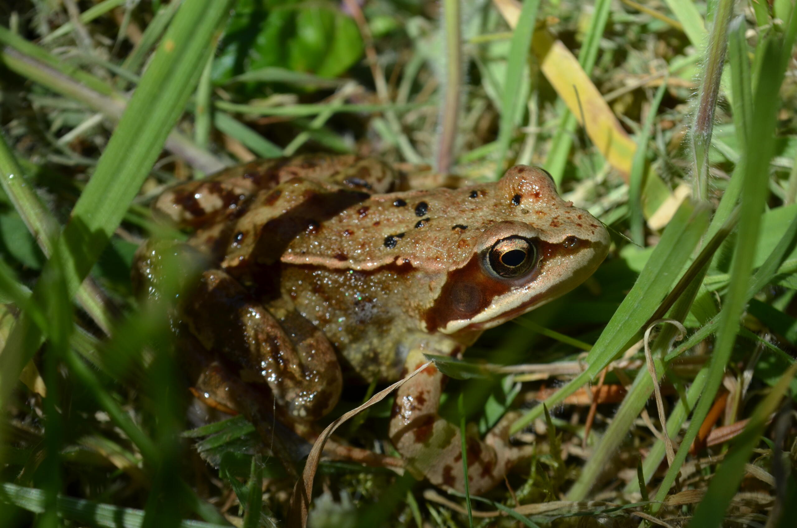 Texte de remplacement non renseigné