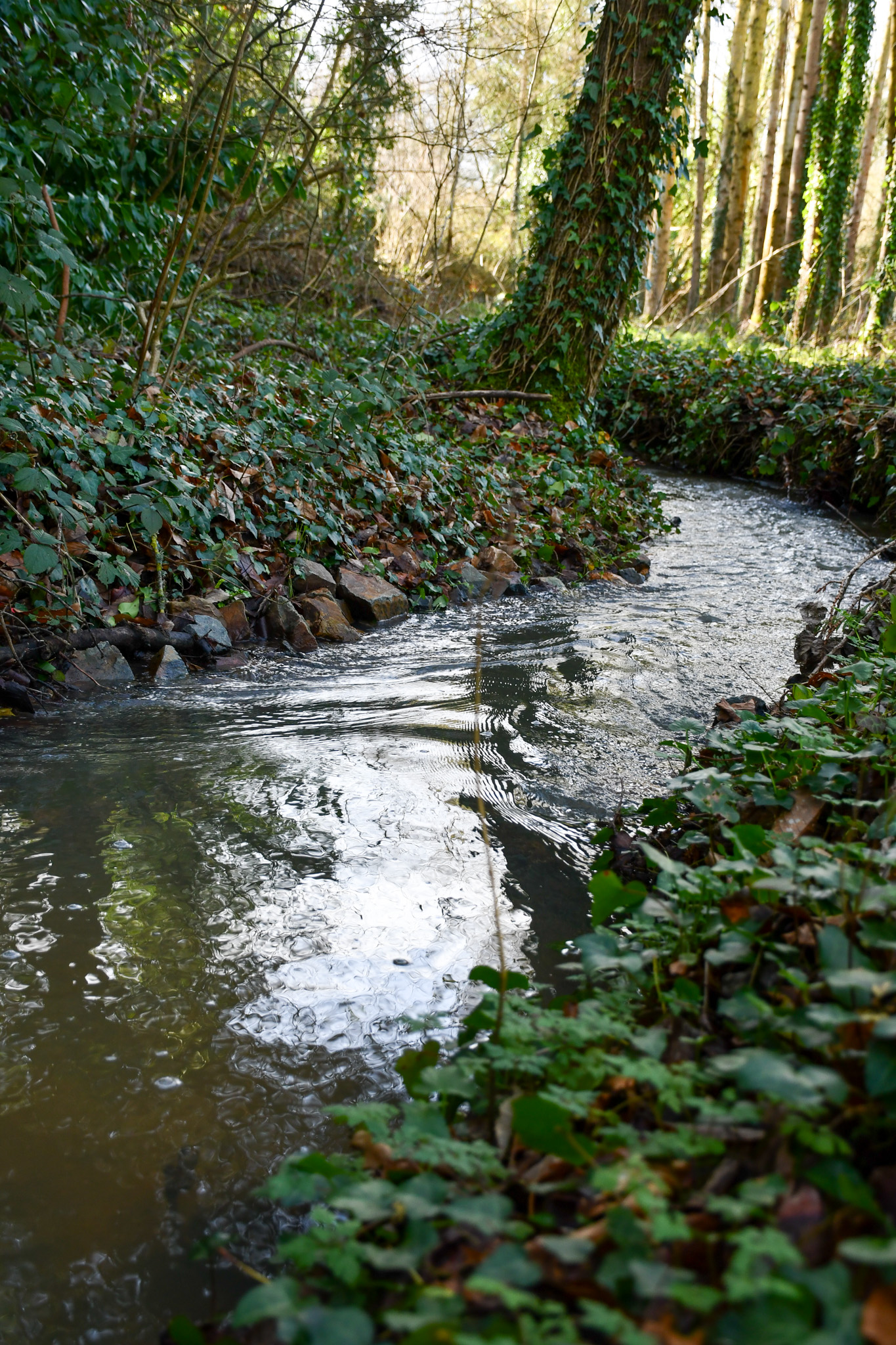 Texte de remplacement non renseigné