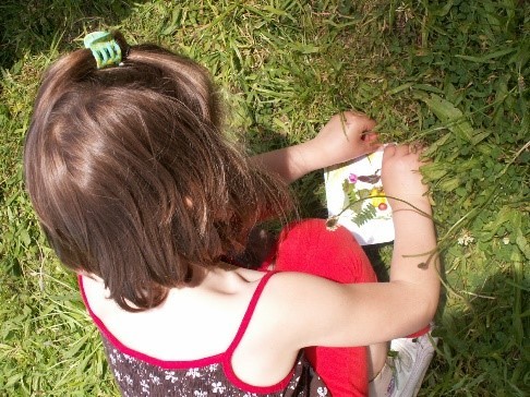 Texte de remplacement non renseigné