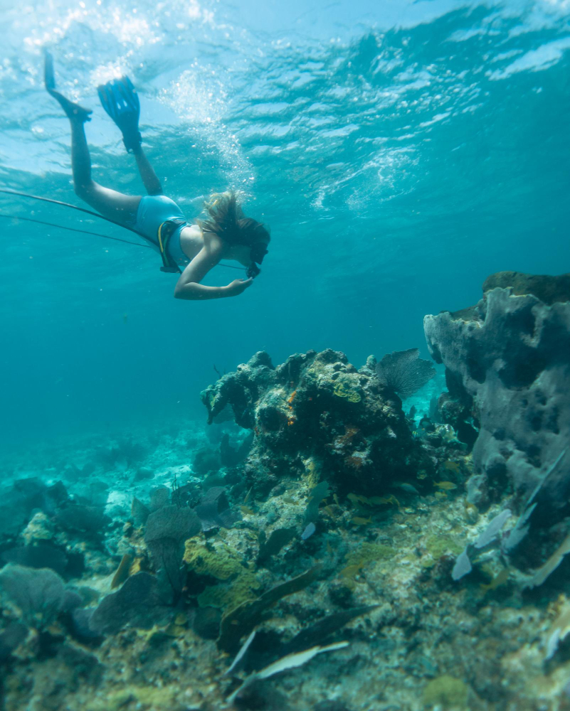 Plongée sous marine