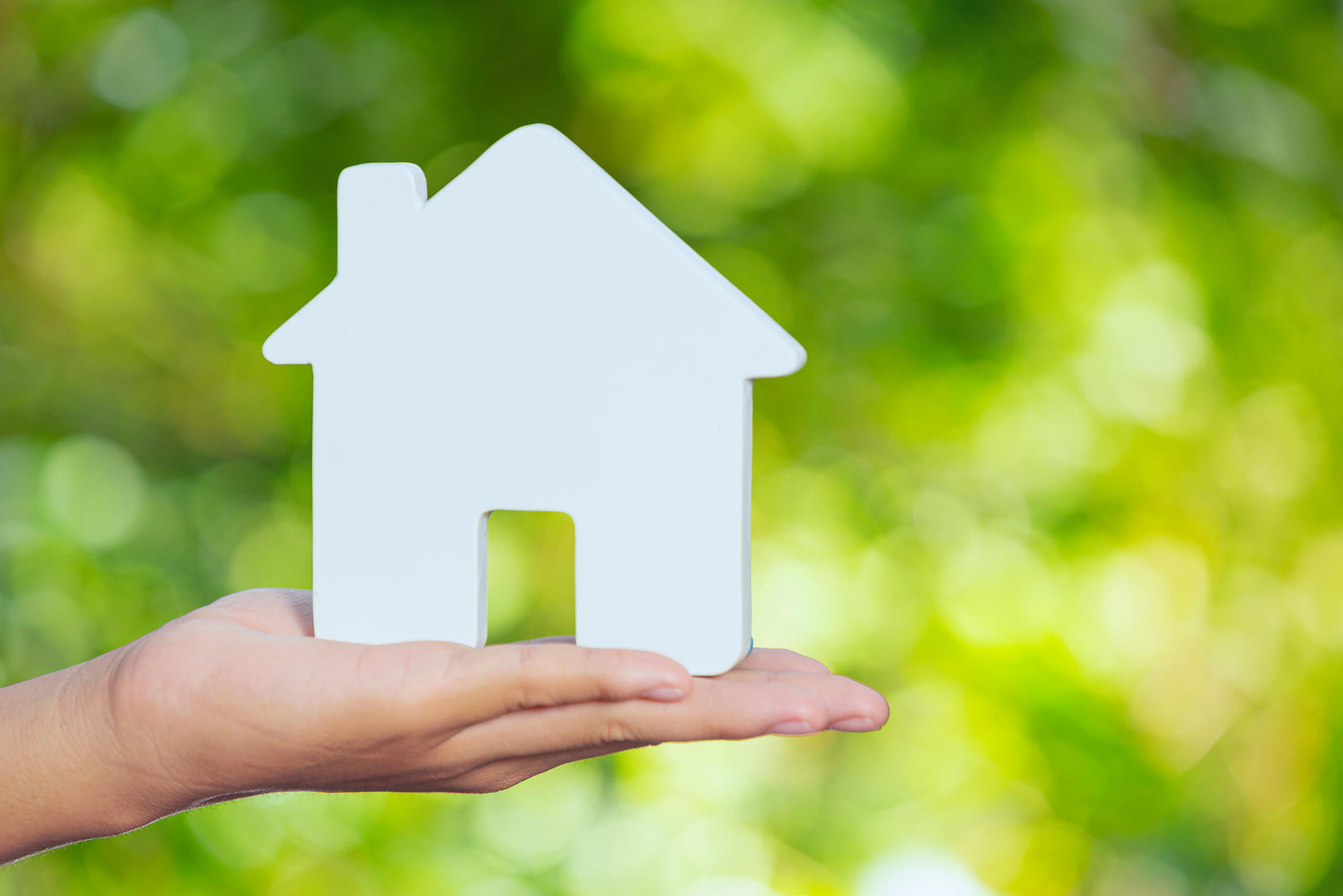 Texte de remplacement non renseigné