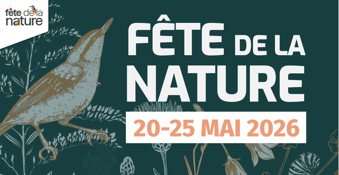 Texte de remplacement non renseigné