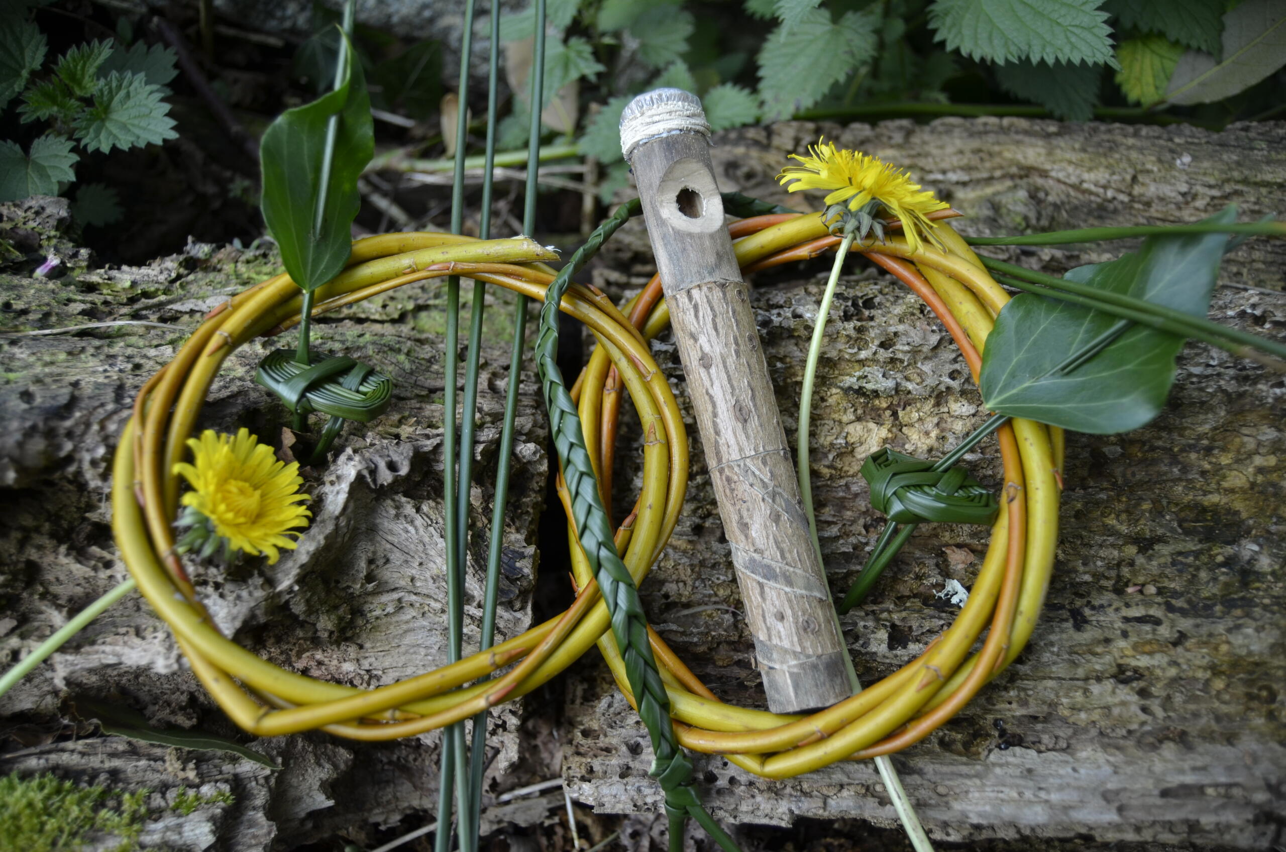 Texte de remplacement non renseigné