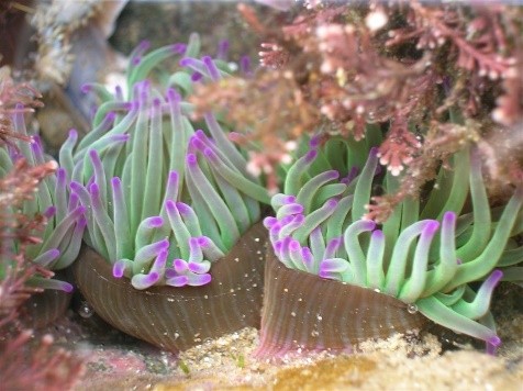 Texte de remplacement non renseigné