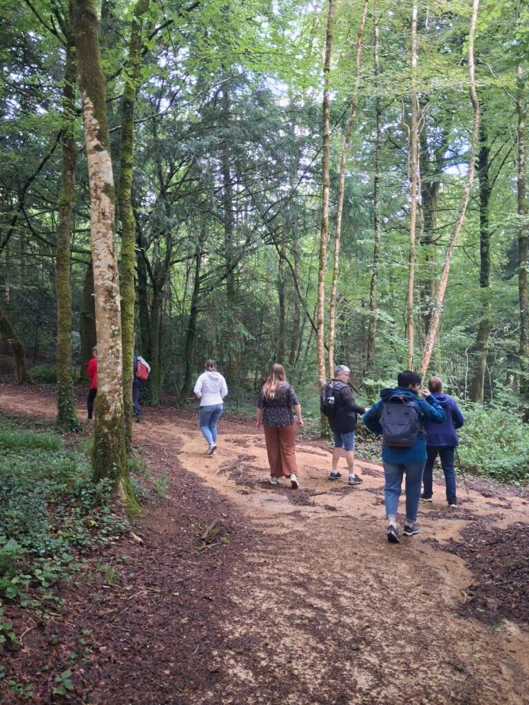 Photo marche en forêt