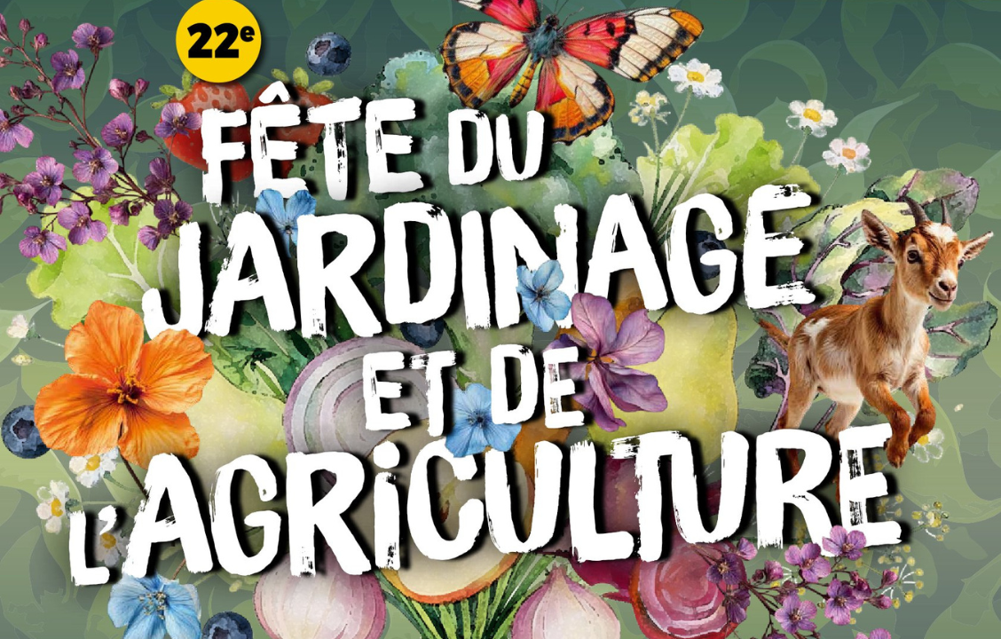 Texte de remplacement non renseigné
