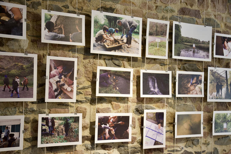 Photo photos restitution DLM